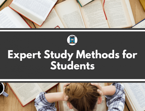 Expert Study Methods